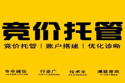 汽车行业SEM服务营销策略及效果展示